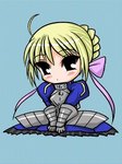 seiba35.jpg